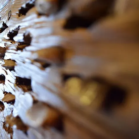 מלון Casa Escosa